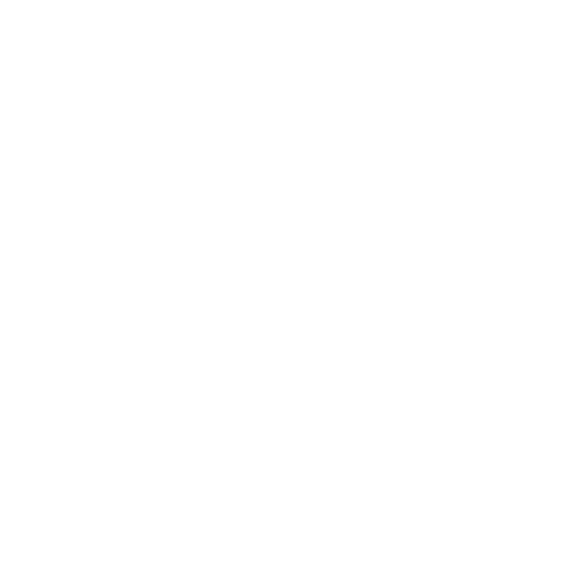instagram (1).png
