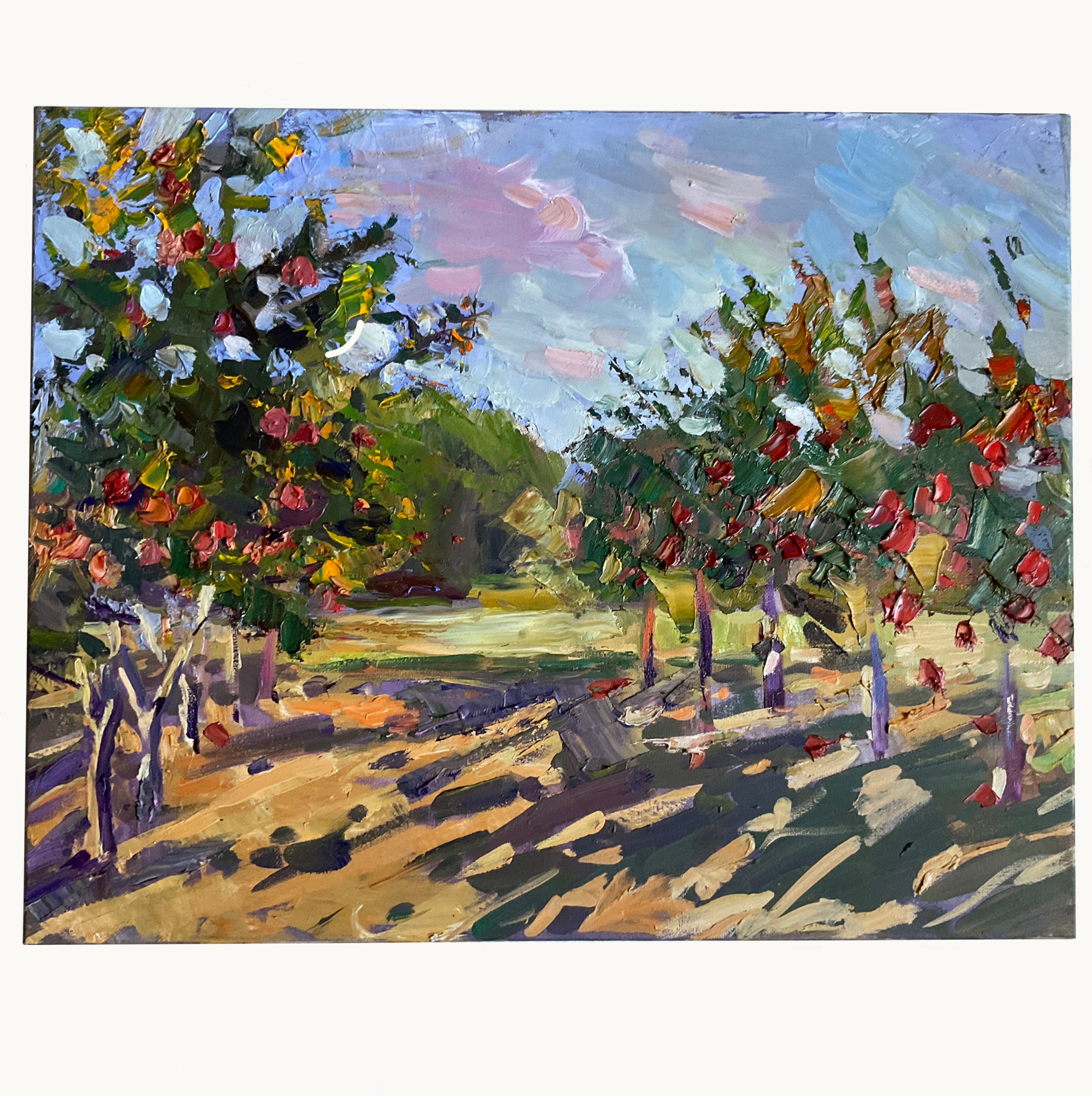Neighbor's apple orchard.