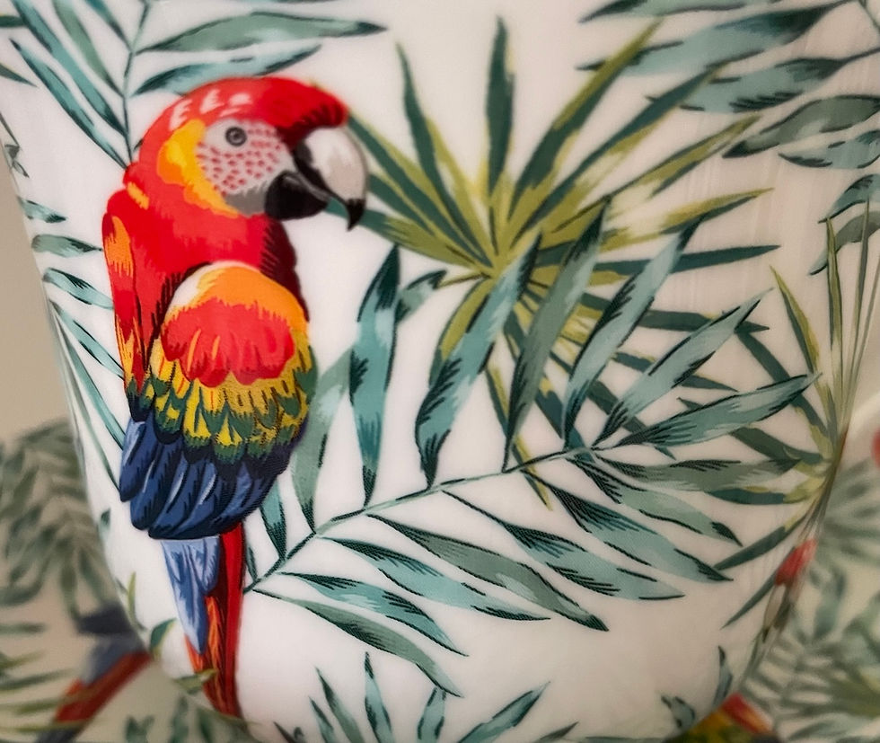 Thumbnail: Heritage Bone China B'fast Cup/Saucer- Tropical Parakeets
