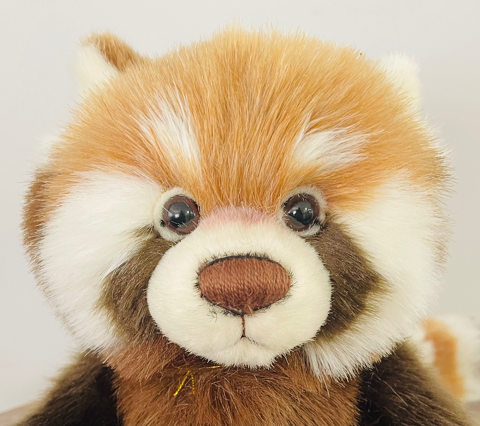 Thumbnail: Charlie Bear 2025 Plush Collection - Anniversary Ronnie
