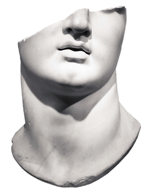 Face Scuplture