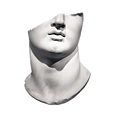 Face Scuplture