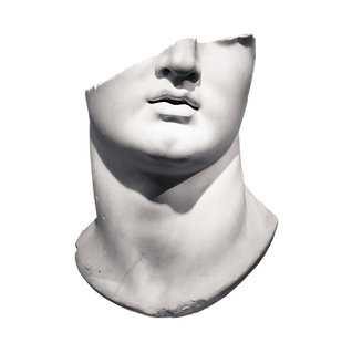 Face Scuplture