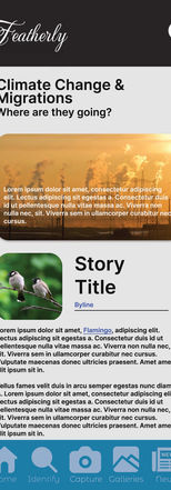 The top story: Climate Change & Migrations. With a banner photo of smokestacks spewing smoke. Below this is the photo of an affected species of birds, story title, author, and body of the story.