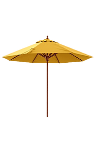 Sunshade_edited.png