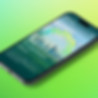 Ecogenesys Mobile v1.jpg