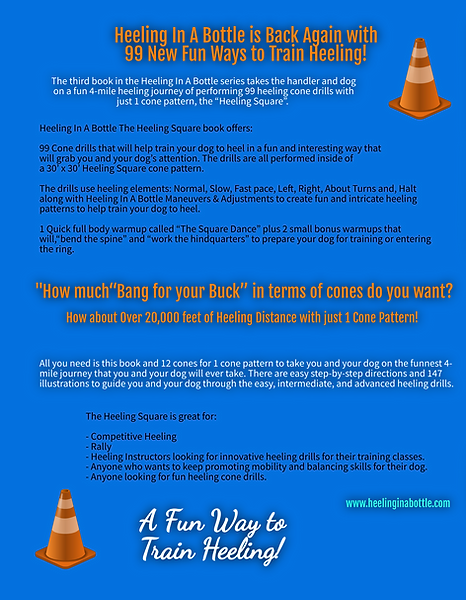 Gold 2 - Back only -2025-11-2-14-174.png