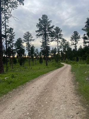 Trail 2.jpg