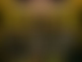 9/19・9/20 関西歌劇団第106回定期公演仮面舞踏会