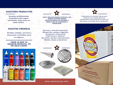 Pproductos_Brochure 3 ES_El Molino (1).png