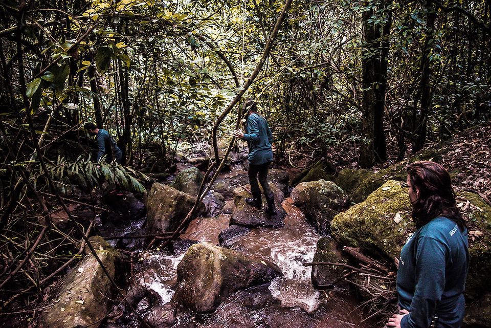 Fotógrafo Daniel Gois