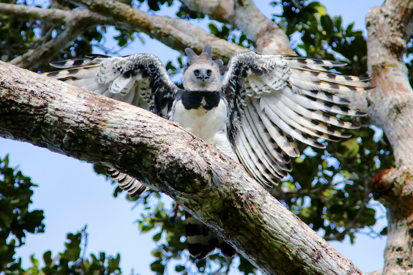Escapada a Islàndia. (I part). Intercanvi de casa a Reykjavik – BonaVida  Travel, image size:1320x880