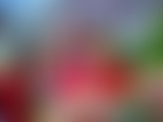 Desafio de Observação da Natureza de Itaguaçu e o nascimento do Clube de Observadores da Natureza Sabiá