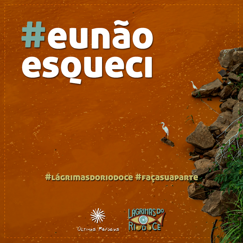 #eunãoesqueci