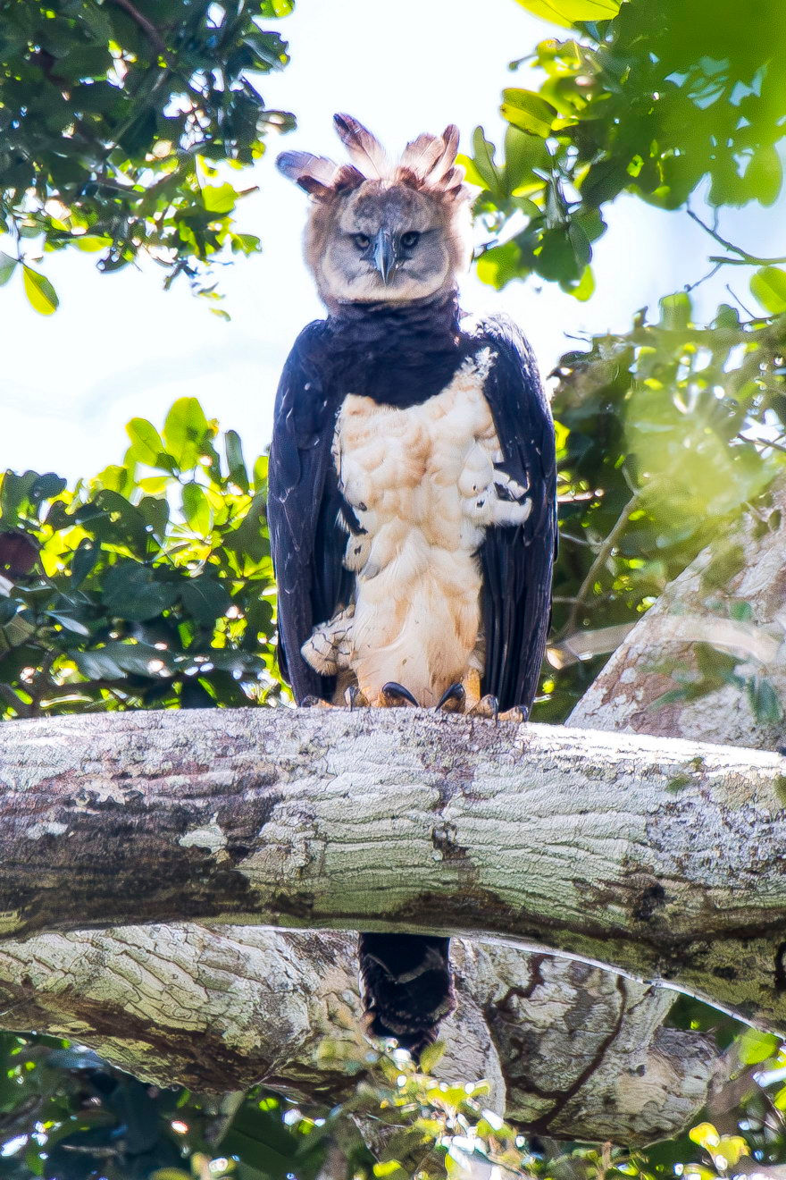 Foto: Leonardo Merçon