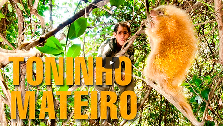 Documentário Toninho Mateiro