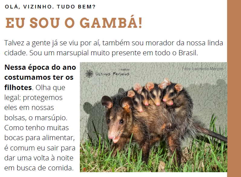gamba marsupio