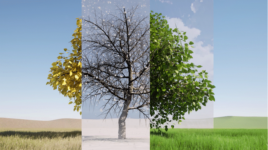 Changing Seasons