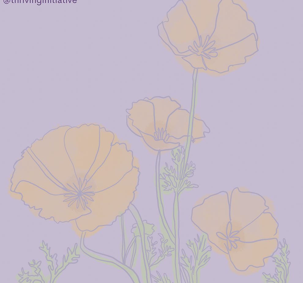 Poppies
