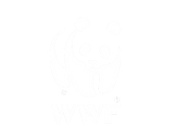 wwf logo .png
