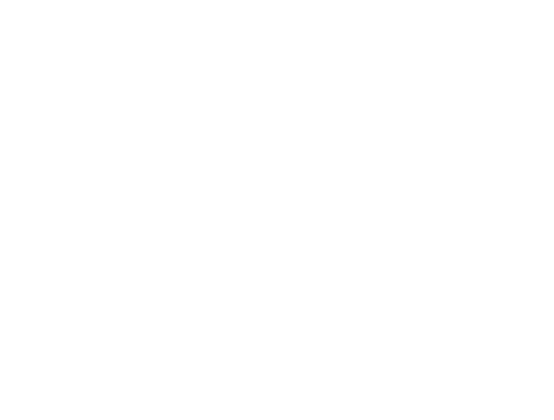 OWI CRM.png