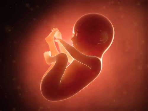 Contra o Aborto