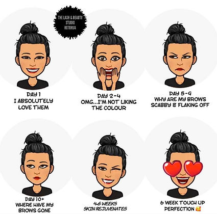 Brow Tattooing 1-6 week.jpg