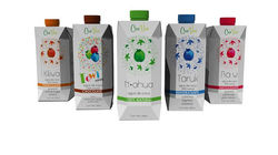 PACKAGE DESIGN COCONUT WATER