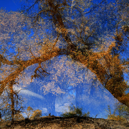 双重曝光摄影照片