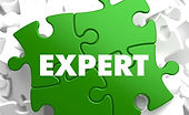 Expert.jpg