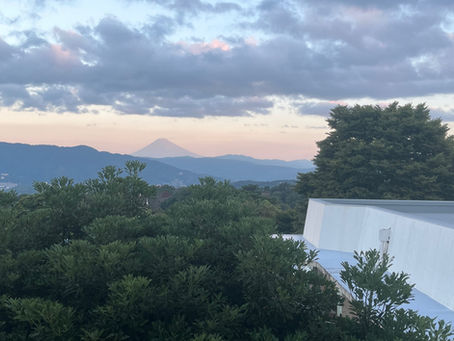 伊東市の楽しみ
