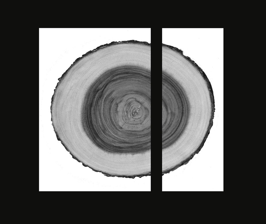 Divided
