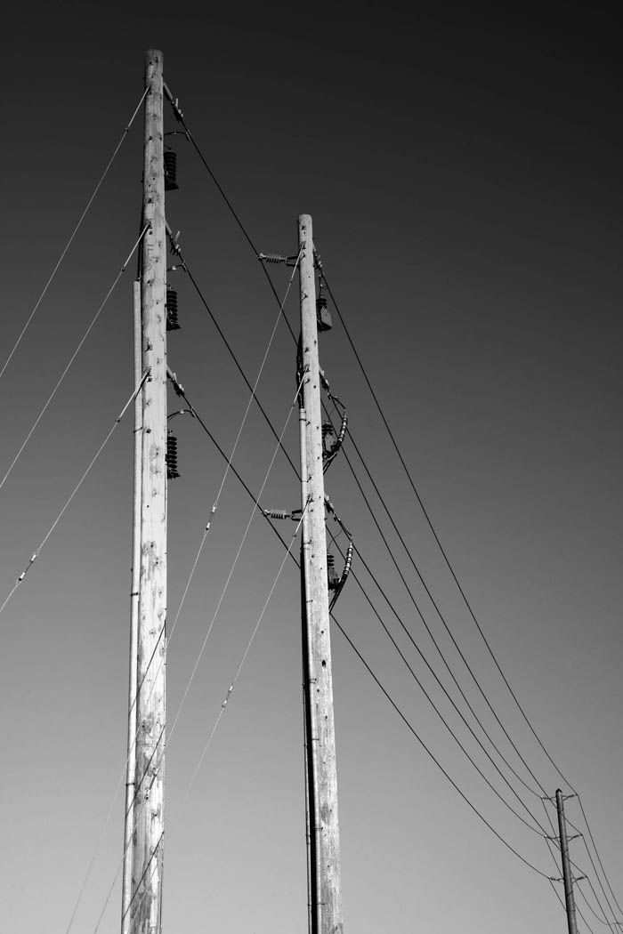 Study in line 1