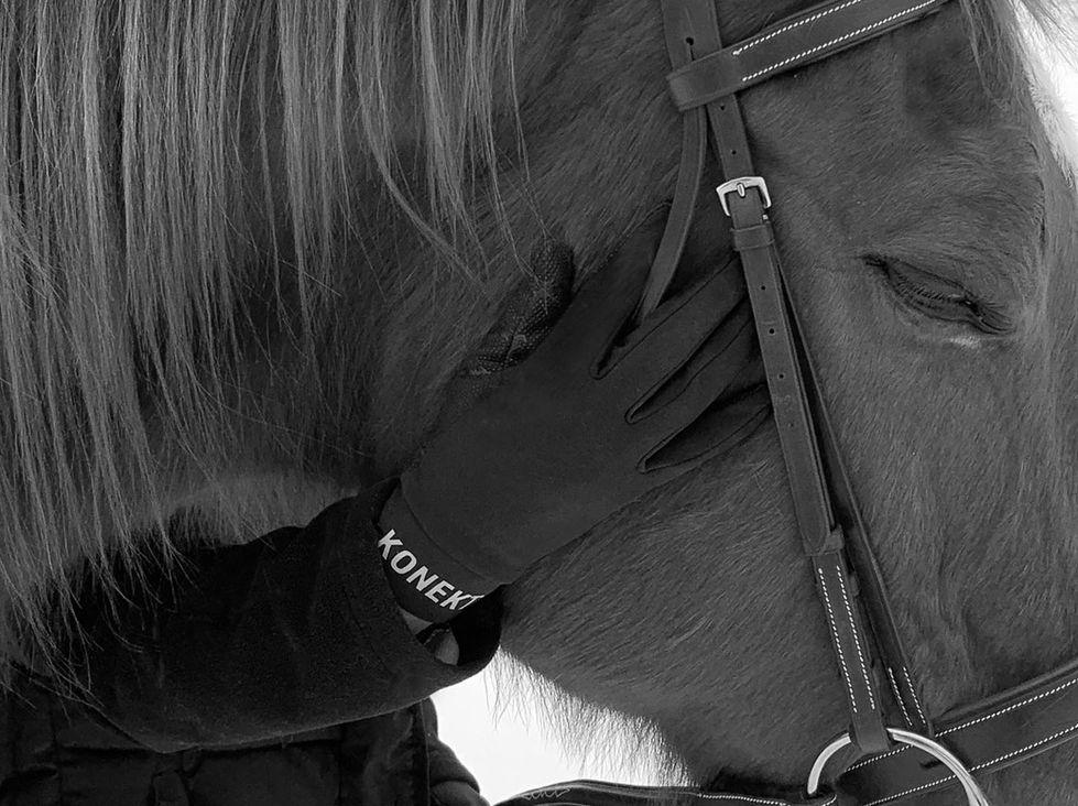Quiet Moment