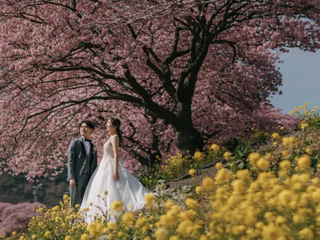 日本一早咲きの桜で前撮り(in 静岡/南伊豆)