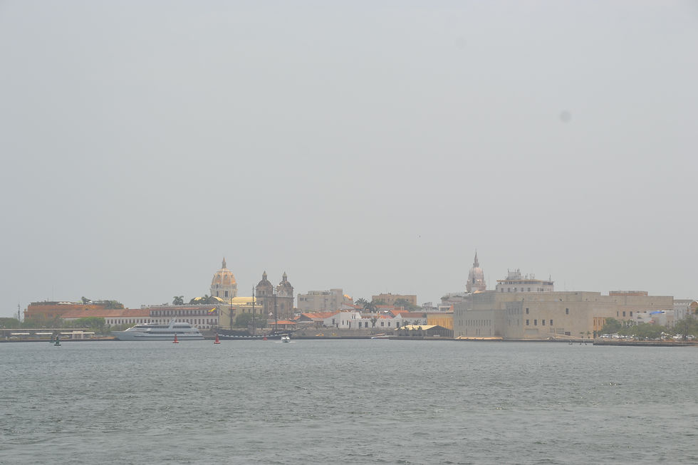 DSC_0241.JPG