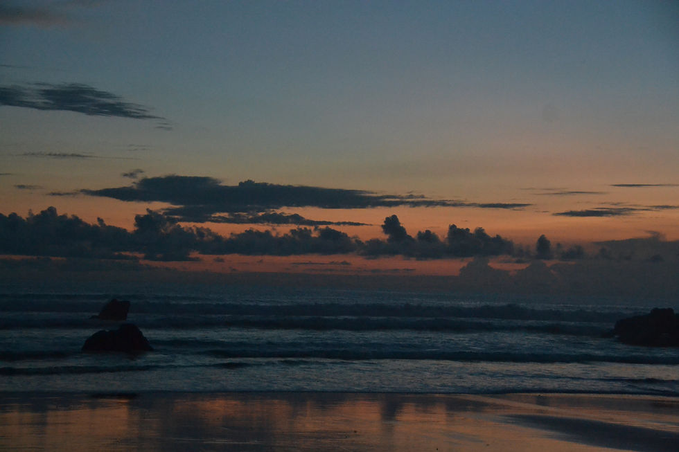 DSC_0140.JPG