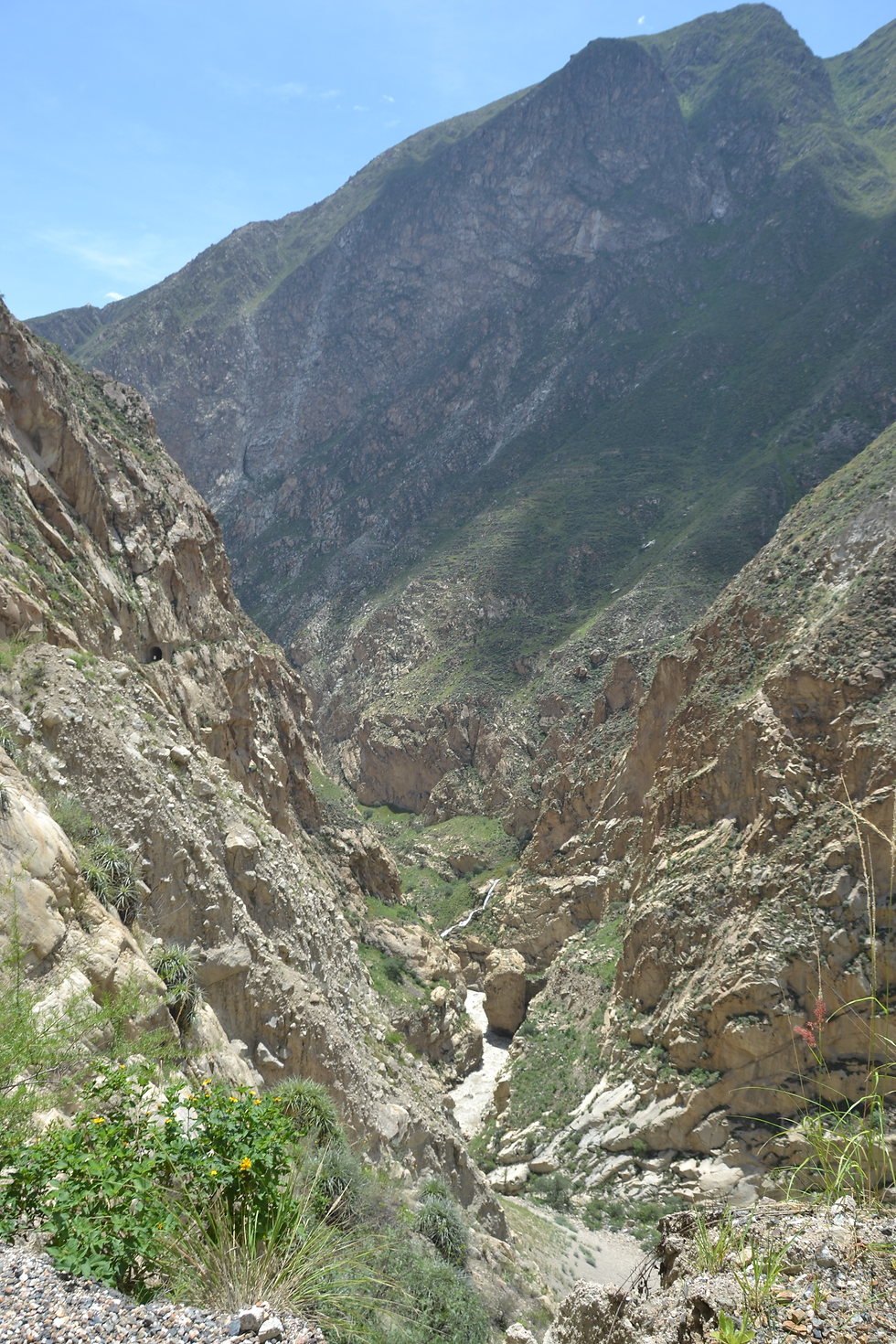 DSC_0212_edited.JPG