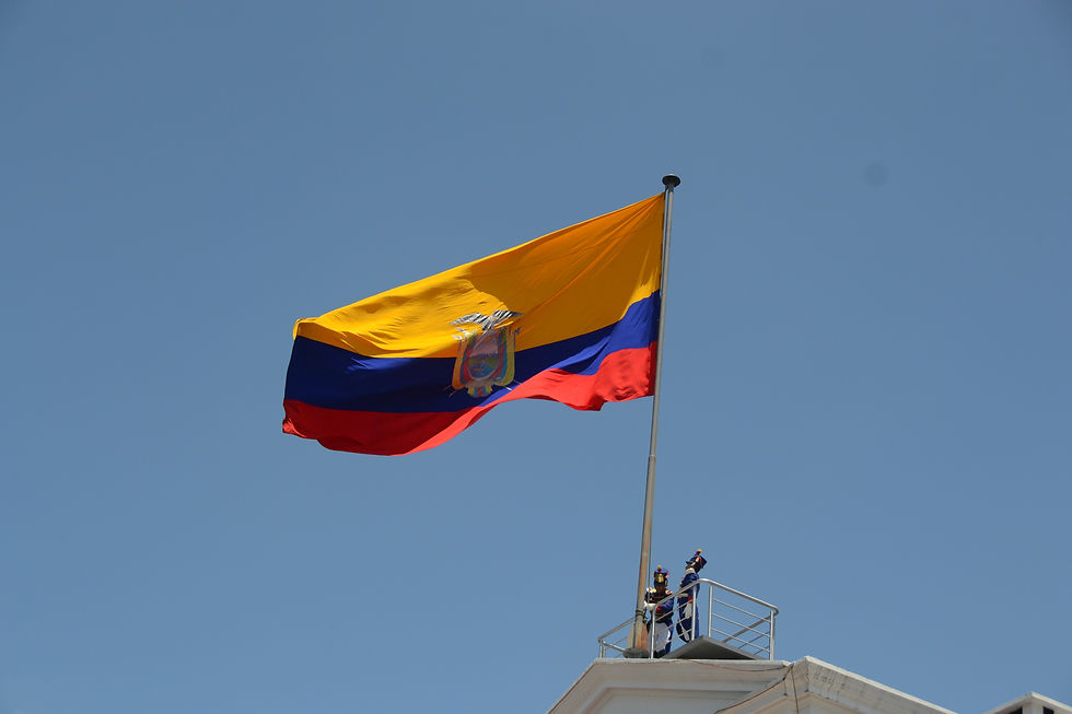 DSC_0127.JPG