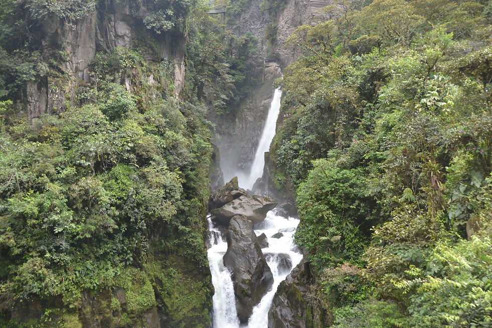 DSC_0597.JPG