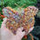 Thumbnail: Copper Butterfly