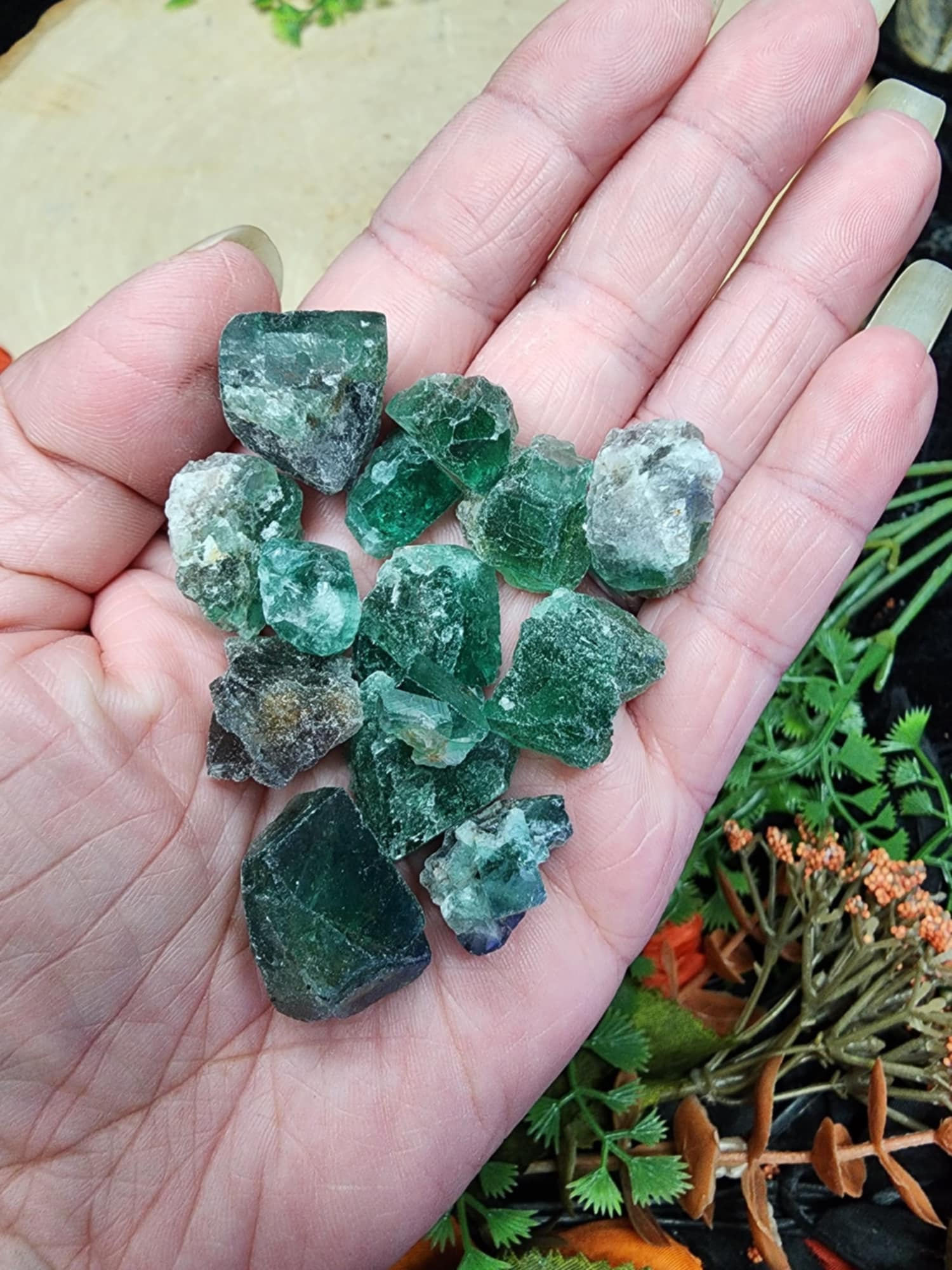 Diana Maria Fluorite