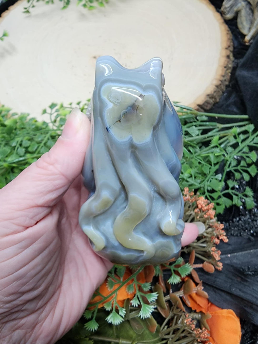 Thumbnail: Agate Octopus