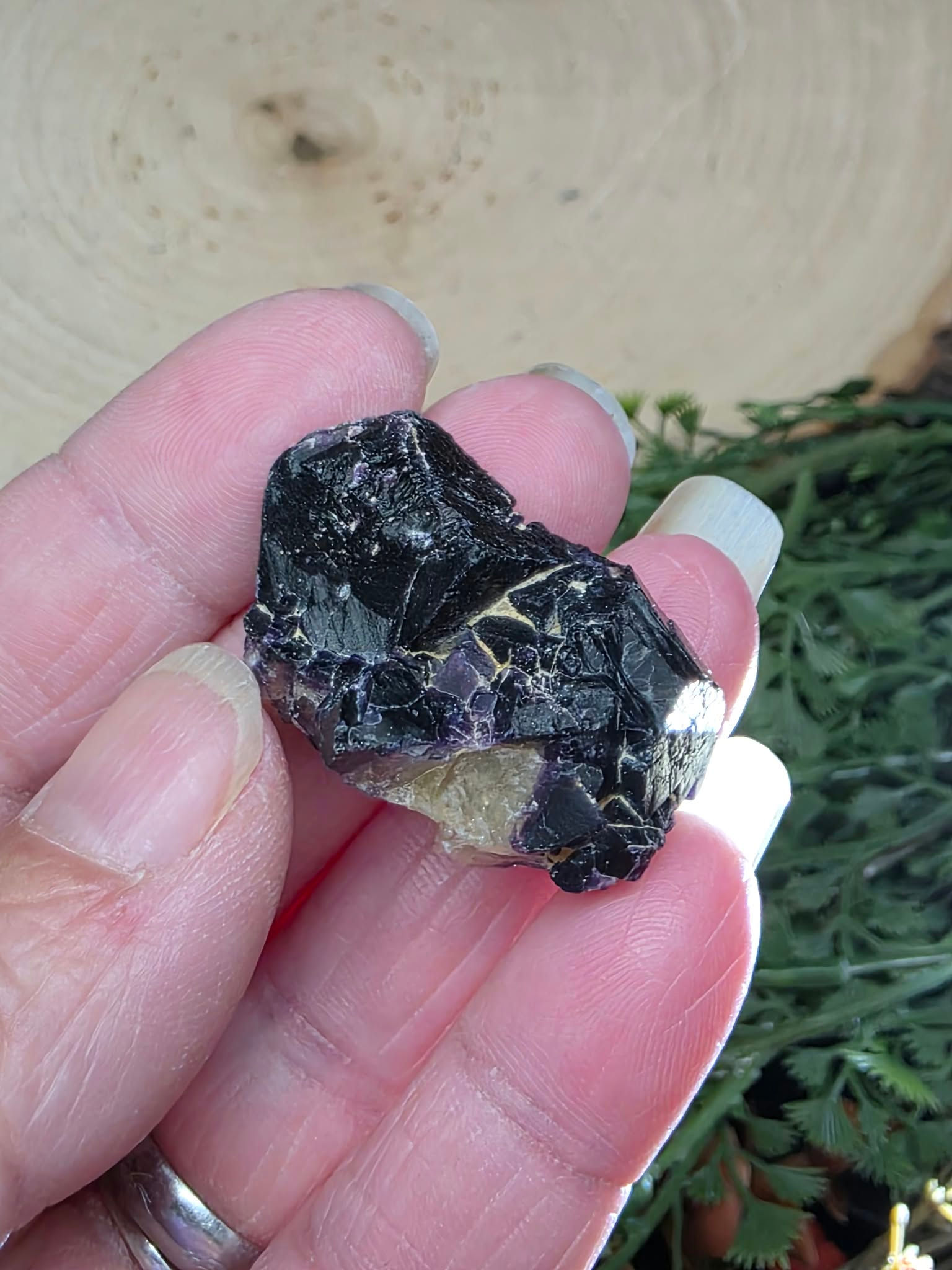 Harris Creek, Illinois Fluorite Cluster