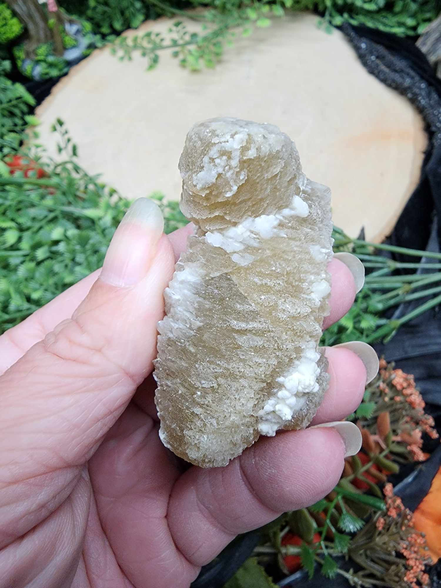 Phantom Angel Wing Calcite