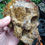Thumbnail: Pietersite Skull