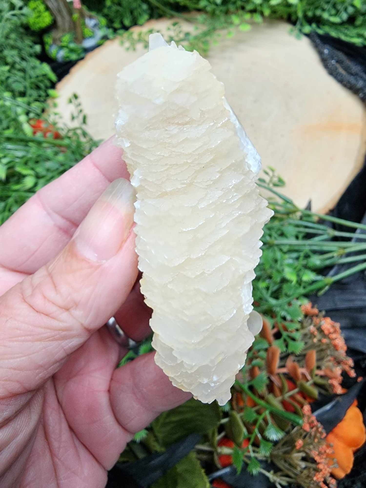 Phantom Angel Wing Calcite