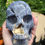Thumbnail: Fossilized Blue Coral Skull