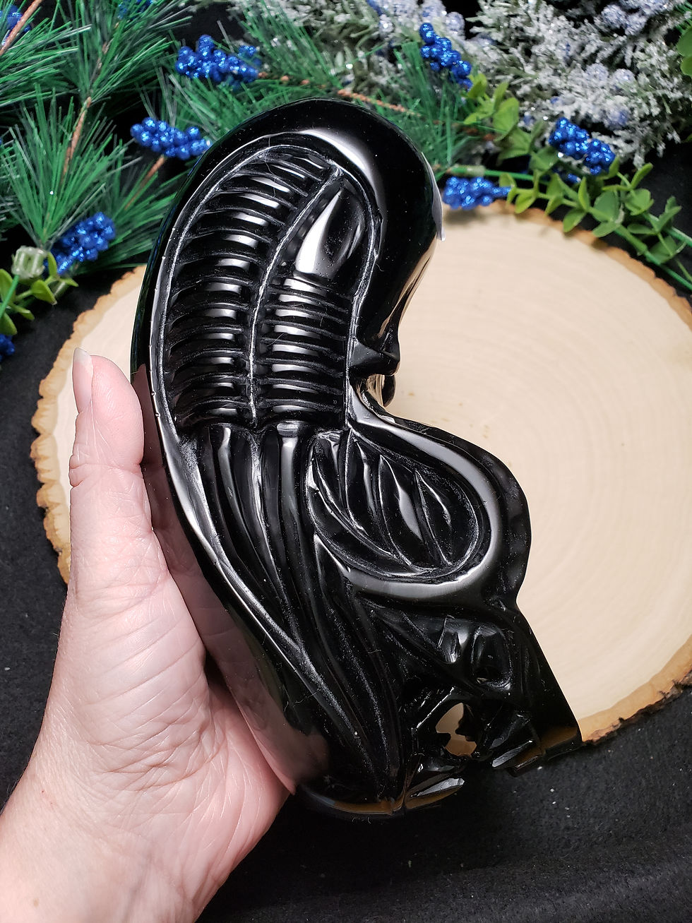 Thumbnail: Obsidian Xenomorph Skull