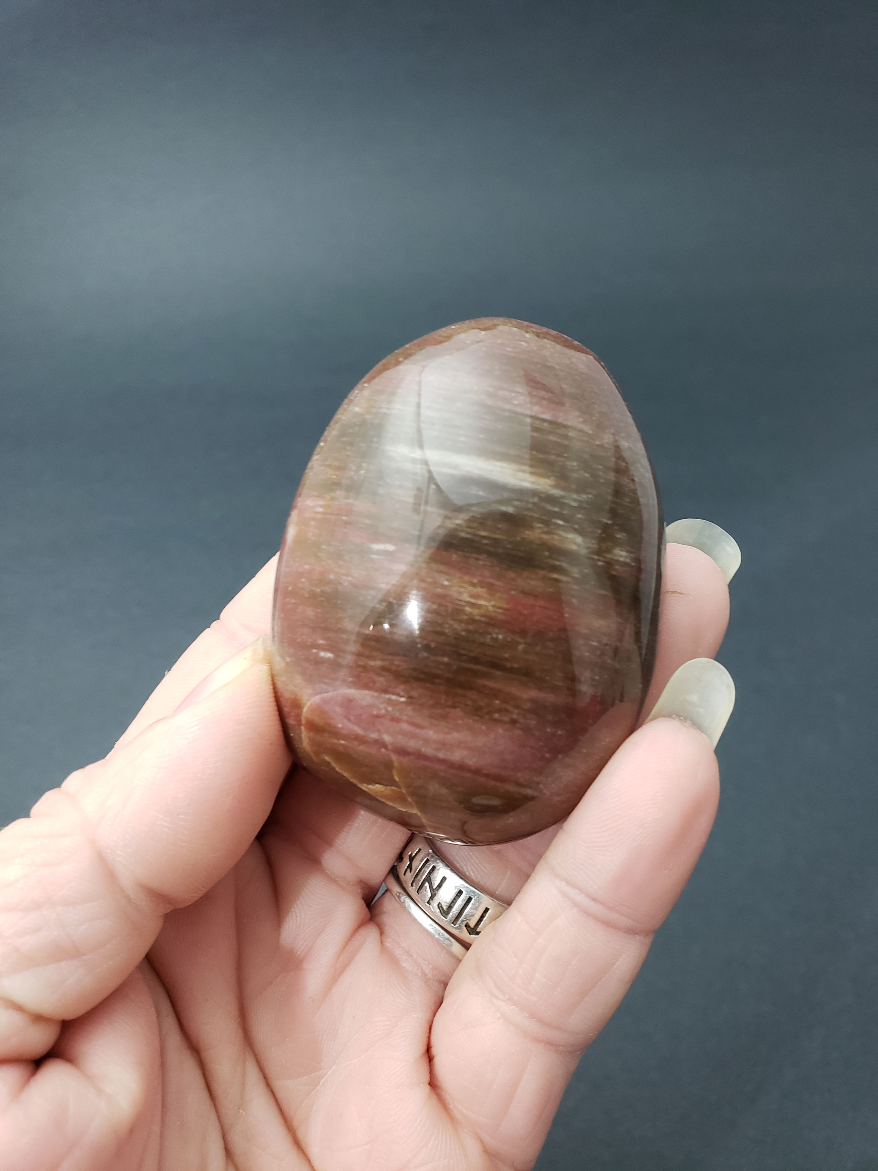 Petrified Wood Palm Stone